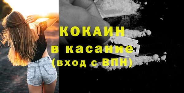 индика Богданович