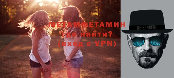 индика Богданович