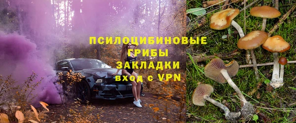 ПСИЛОЦИБИНОВЫЕ ГРИБЫ Бородино