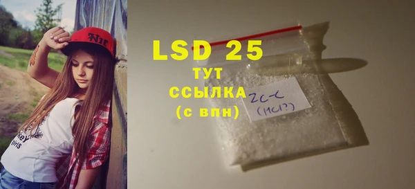 ПСИЛОЦИБИНОВЫЕ ГРИБЫ Бородино