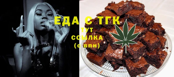 индика Богданович