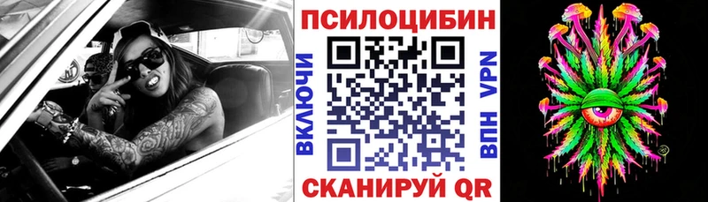 Галлюциногенные грибы Psilocybe  Гремячинск 